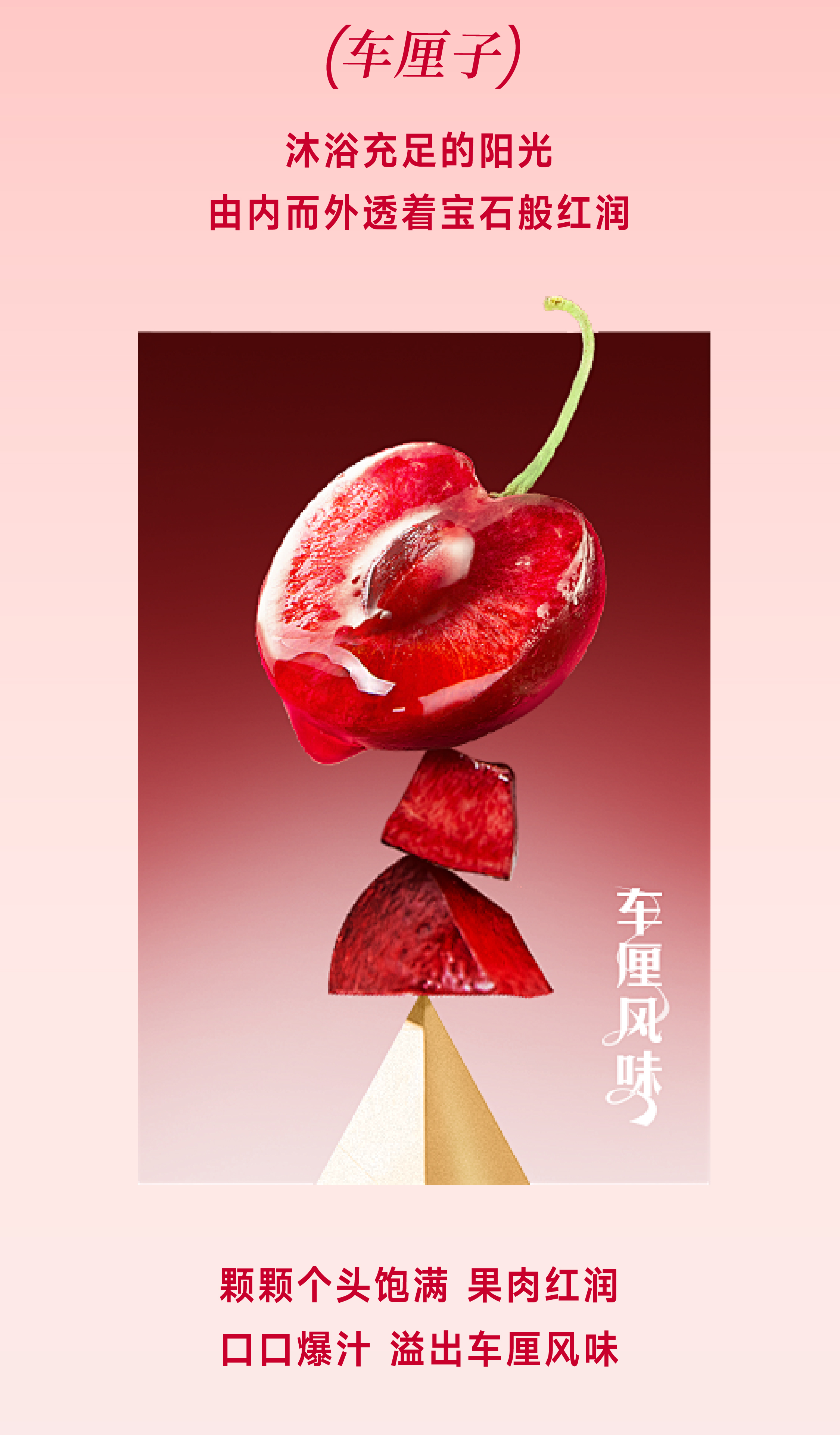 车厘子_画板 1 副本 4.jpg