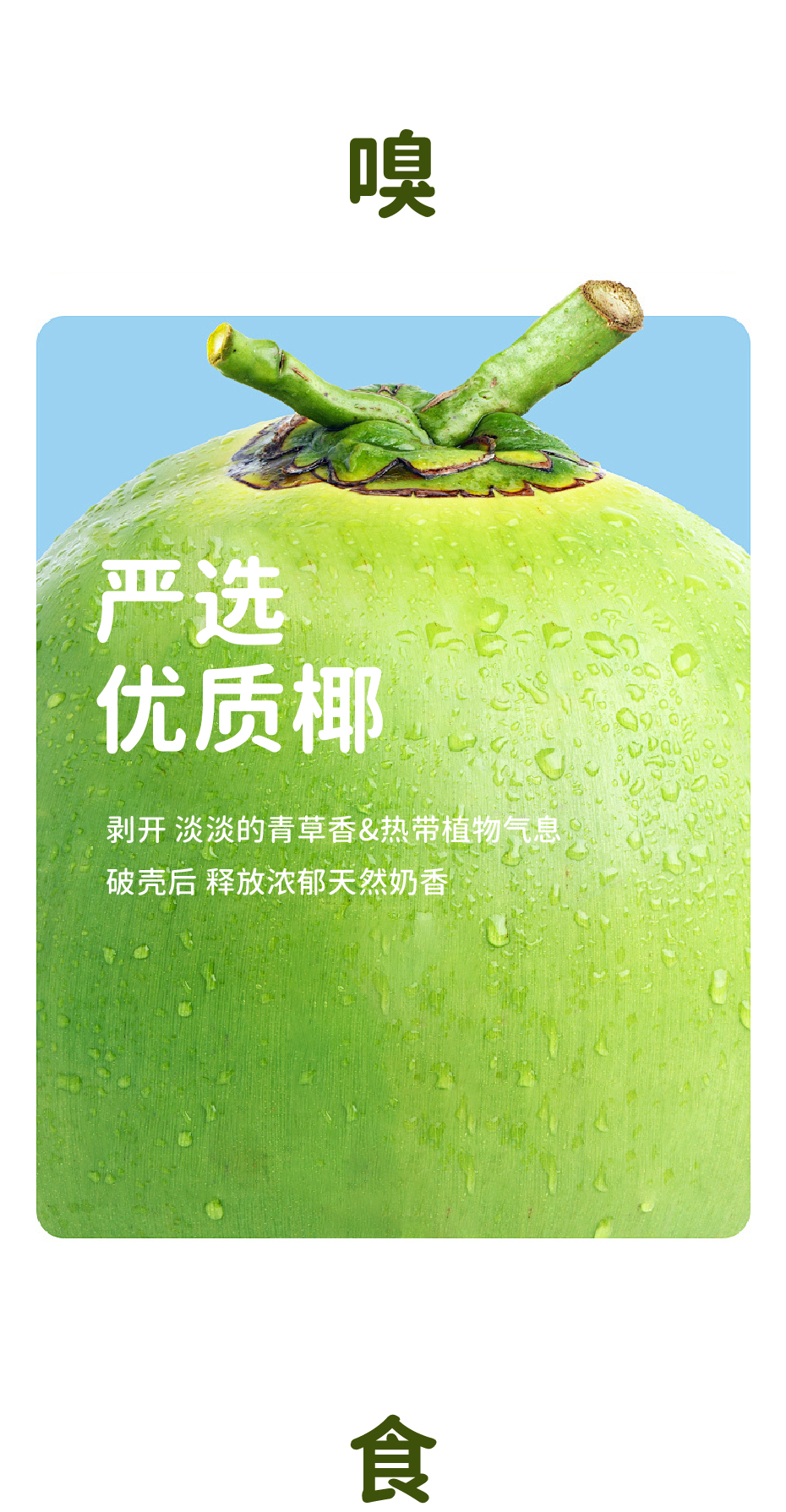 龙眼_画板 1 副本 3.jpg