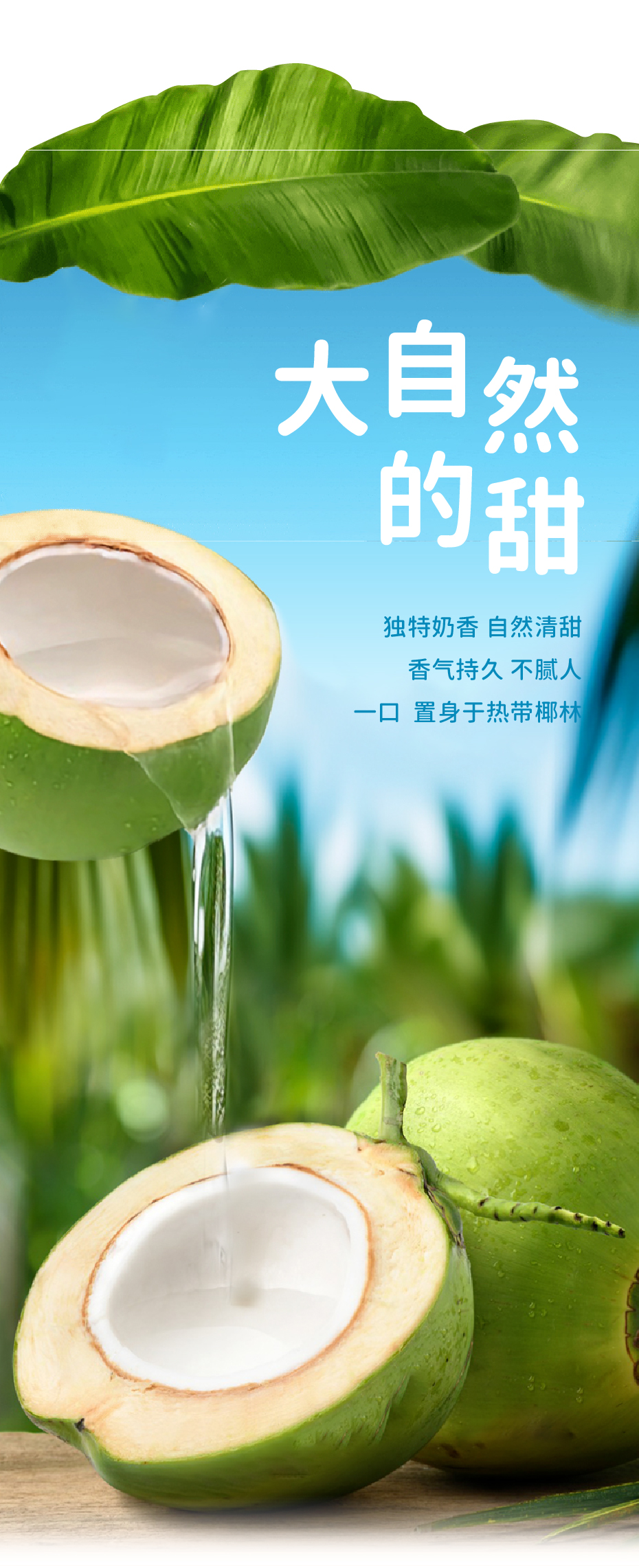 龙眼_画板 1 副本 4.jpg