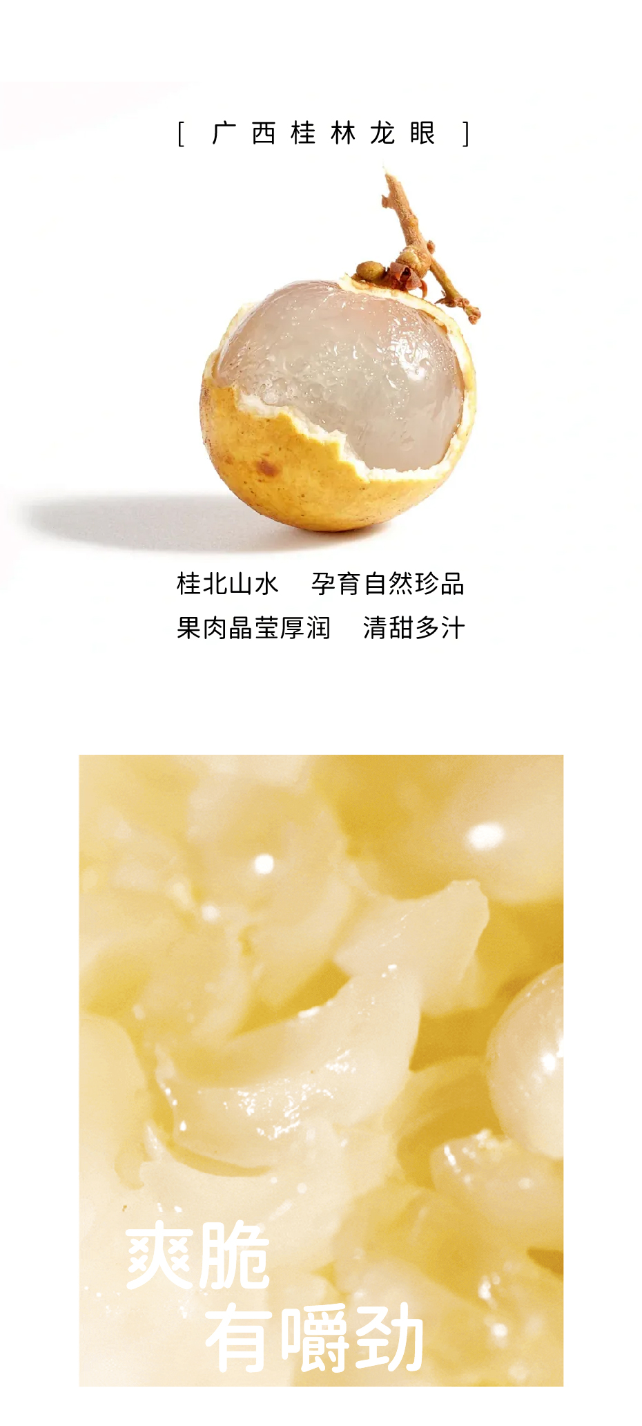 龙眼_画板 1 副本 5.jpg