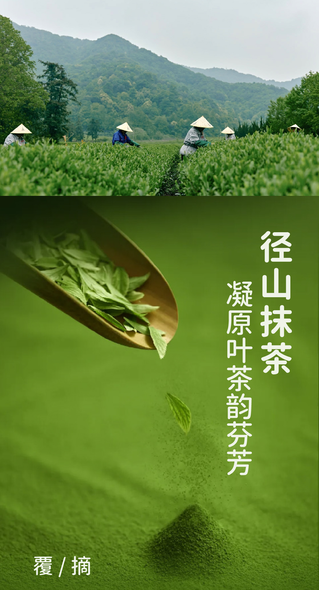 抹茶茉莉香水椰_画板 1 副本.jpg