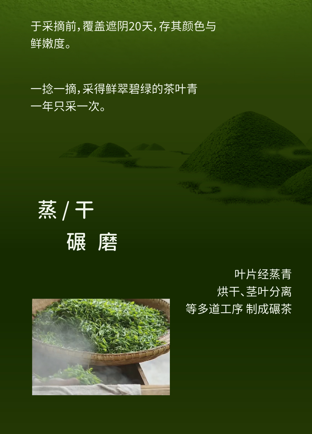 抹茶茉莉香水椰_画板 1 副本 2.jpg