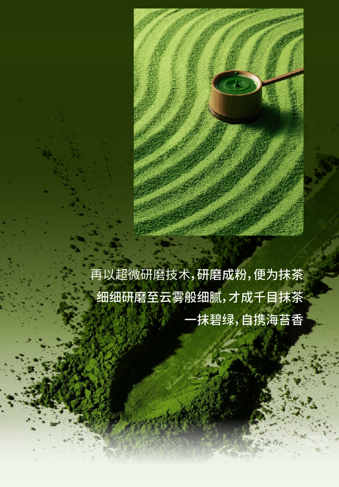 抹茶茉莉香水椰_画板 1 副本 3.jpg