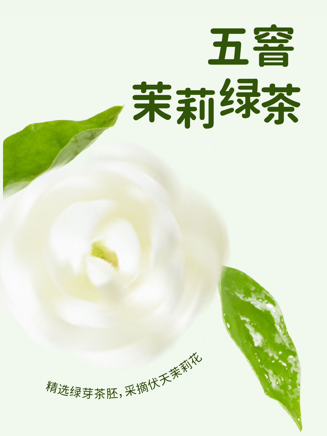 抹茶茉莉香水椰_画板 1 副本 4.jpg