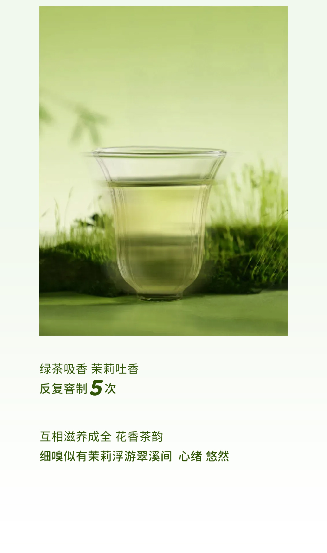 抹茶茉莉香水椰_画板 1 副本 5.jpg