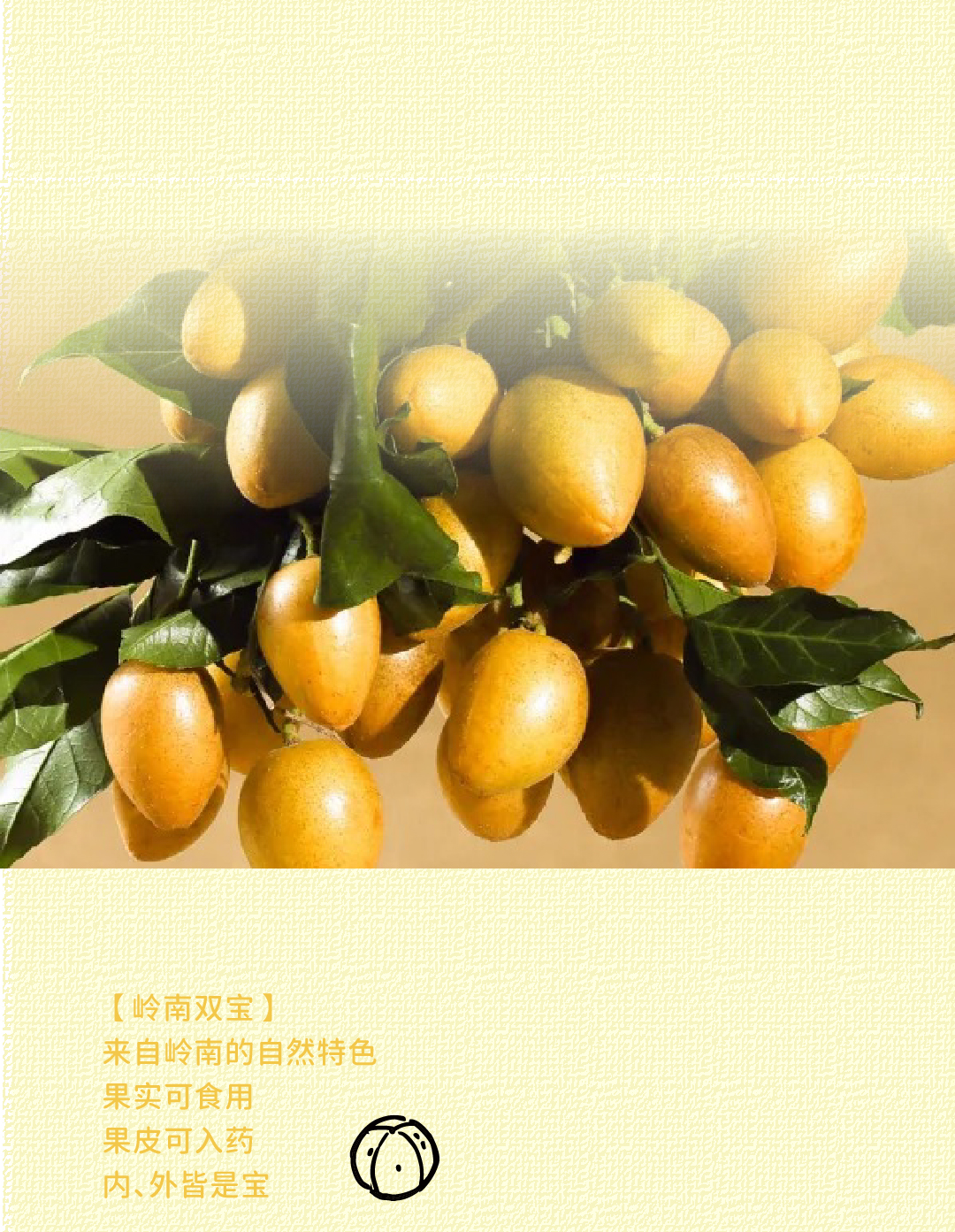 未标题-1_画板 1 副本 5.jpg