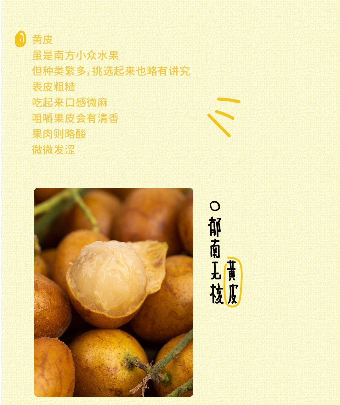 未标题-1_画板 1 副本 8.jpg