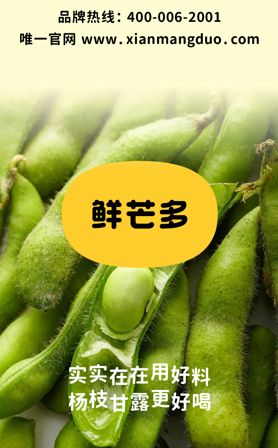 鲜煮毛豆奶绿_画板 1 副本 6.jpg